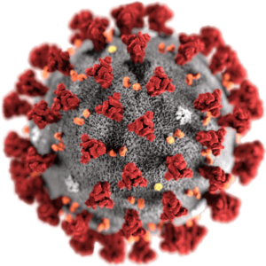 standard_2019-nCoV-CDC-23312_without_background-400×400
